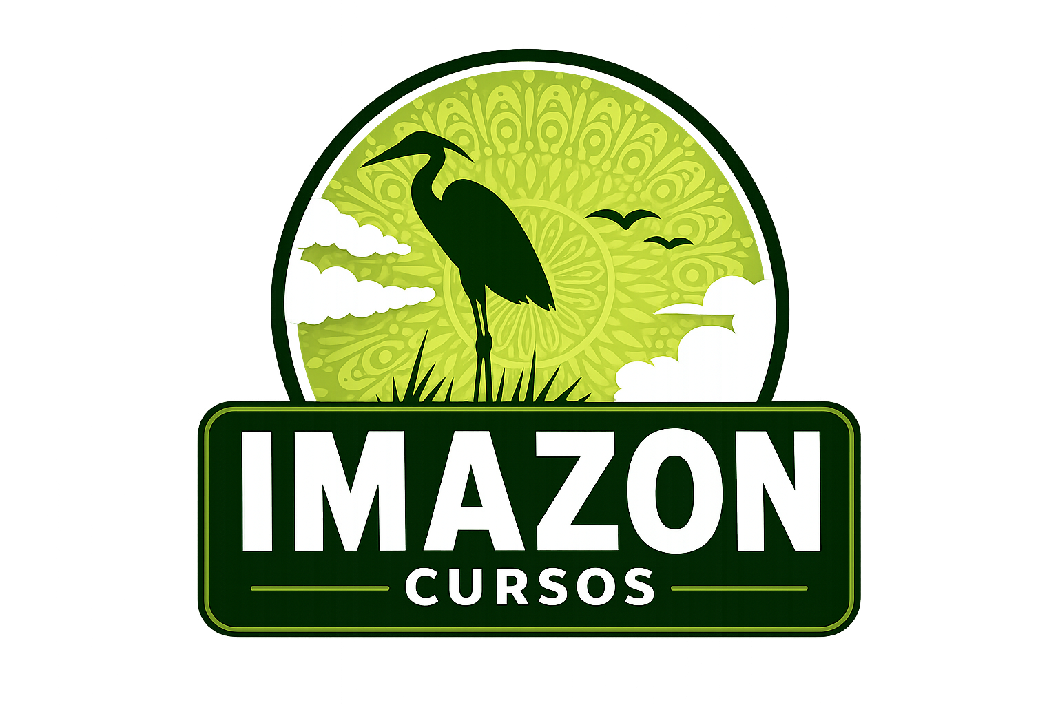 Imazon Cursos